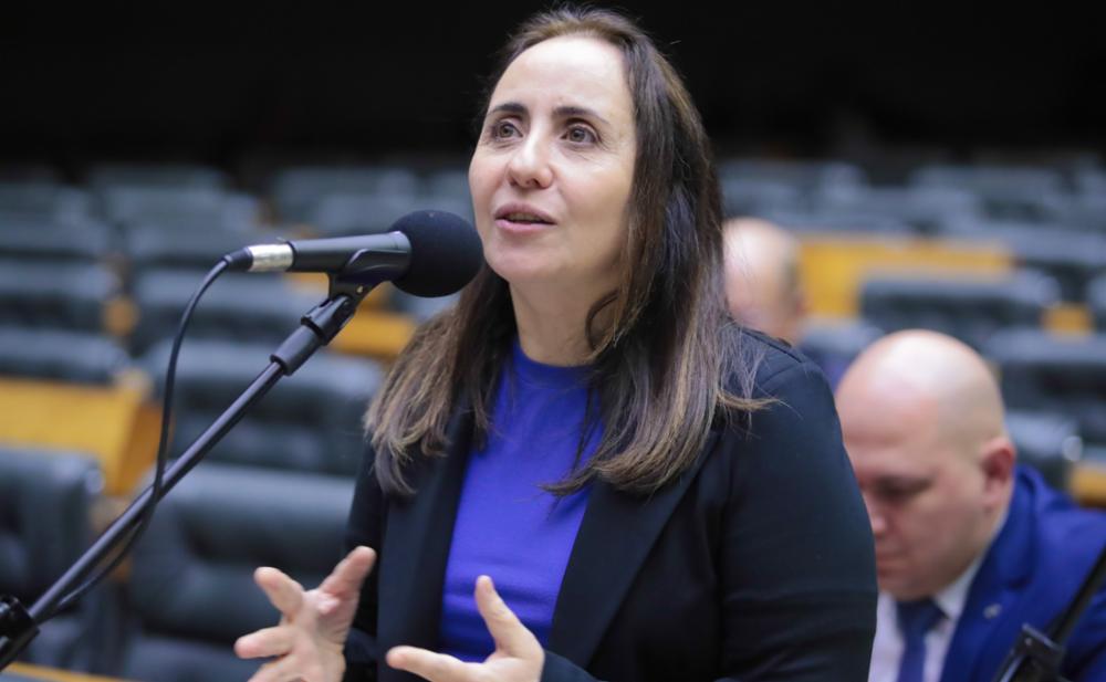 Adriana Ventura, juntamente com outros congressistas, apresentou um projeto para combater as práticas ilícitas do crime organizado na economia brasileira (créditos: Câmara dos Deputados).